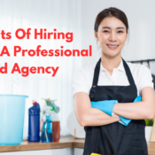 Professional Maid Agency